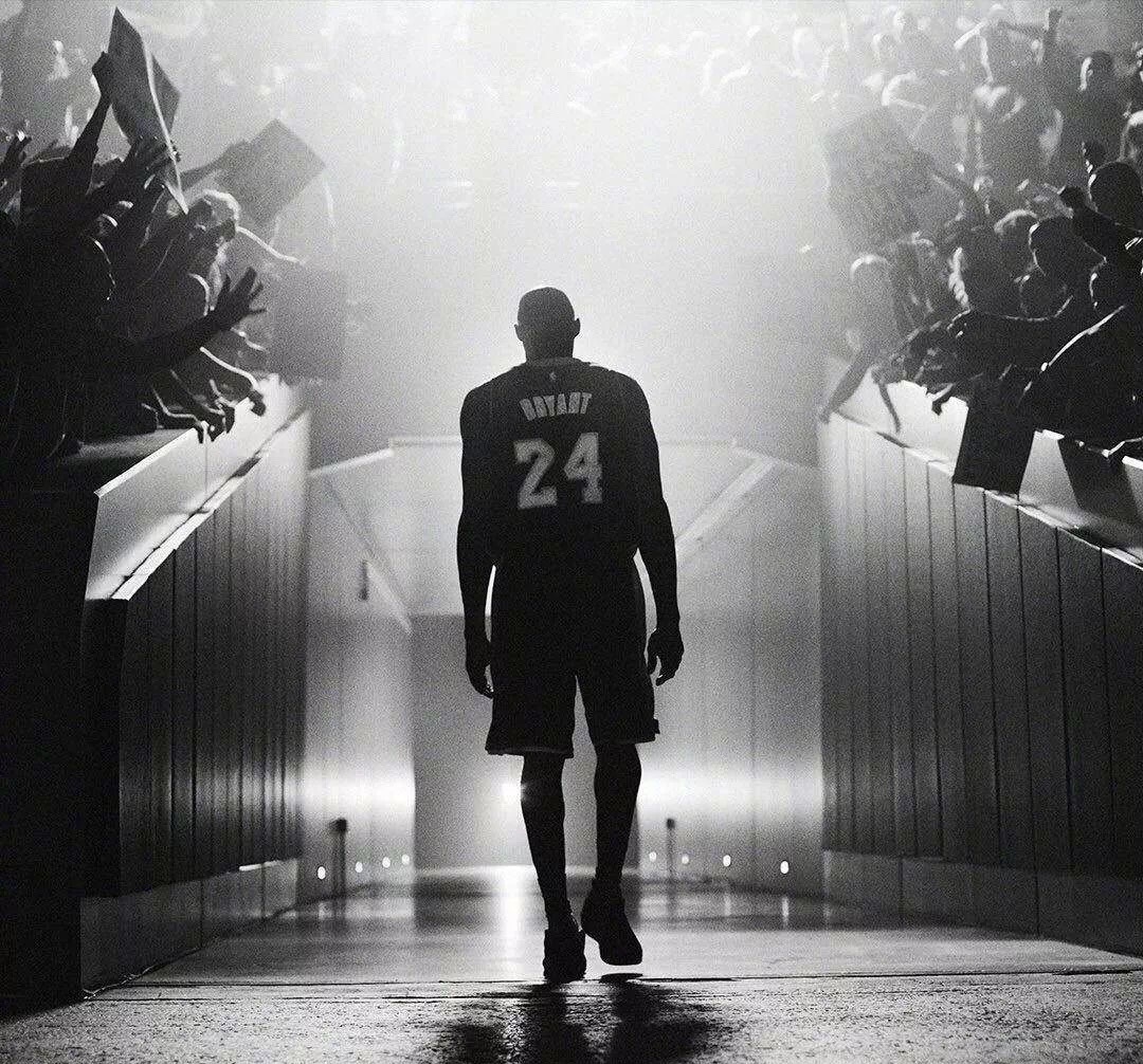 不是因为他 不是因为他